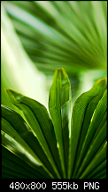 Wallpaper-Sammlung-normal10.png