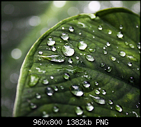 Wallpaper-Sammlung-wide1.png