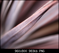 Wallpaper-Sammlung-wide2.png