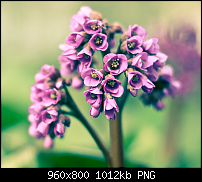 Wallpaper-Sammlung-wide3.png