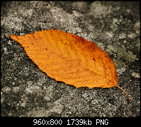 Wallpaper-Sammlung-wide4.png