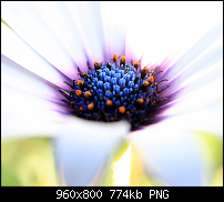 Wallpaper-Sammlung-wide6.png