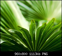 Wallpaper-Sammlung-wide10.png