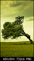 Wallpaper-Sammlung-normal18.png