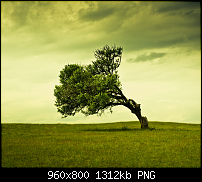 Wallpaper-Sammlung-wide18.png