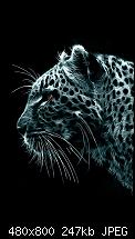 Wallpaper-Sammlung-leopard-wnd7-hd2.jpg