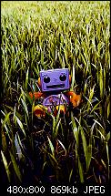 Wallpaper-Sammlung-lawn-buddy_htcevo-htcinc-nexusone_theal.jpg