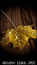 Wallpaper-Sammlung-autumn-fall.jpg
