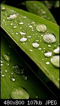 Wallpaper-Sammlung-htc_other17520.jpg