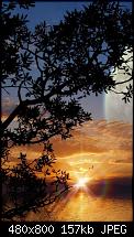Wallpaper-Sammlung-sunset.jpg