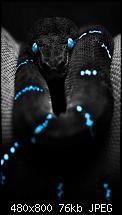 Wallpaper-Sammlung-hd_snake_eyes.jpg