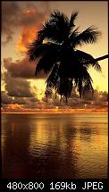 Wallpaper-Sammlung-golden_sunset.jpg