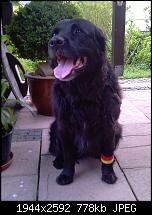 Zeigt eure Leo Kamerabilder!-009.jpg