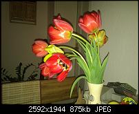 [ROM][21LANGS] 05.01.12 HD2O© v1.26 WP7 8107 FULLY UNLOCKED [online]-wp_000017.jpg