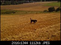 HTC Hero Kamerabilder-imag0027.jpg