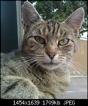 HTC Hero Review - Testbericht-imag0043.jpg