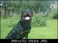 HTC Hero Review - Testbericht-imag0060.jpg