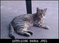 HTC Hero Review - Testbericht-imag0041.jpg