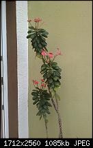 HTC Hero Review - Testbericht-imag0049.jpg