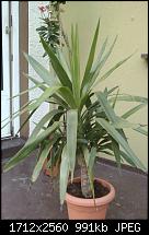 HTC Hero Review - Testbericht-imag0048.jpg