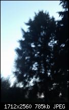 HTC Hero Review - Testbericht-imag0036.jpg