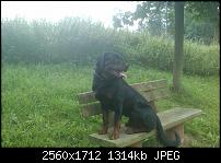 HTC Hero Review - Testbericht-imag0068.jpg