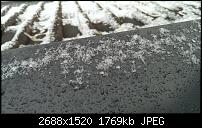 HTC One (M7) Zeigt her eure Fotos!-imag0051.jpg