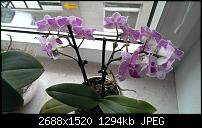 Foto & Video vergleich, HTC ONE vs. Galaxy S3-imag0103.jpg