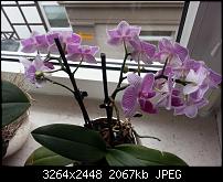 Foto & Video vergleich, HTC ONE vs. Galaxy S3-20130404_164538.jpg