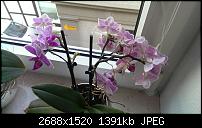 Foto & Video vergleich, HTC ONE vs. Galaxy S4-imag0590.jpg