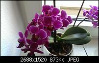 Foto & Video vergleich, HTC ONE vs. Galaxy S4-imag0591.jpg