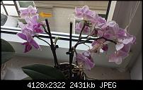 Foto & Video vergleich, HTC ONE vs. Galaxy S4-20130524_185508.jpg