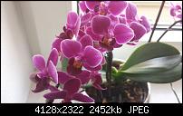 Foto & Video vergleich, HTC ONE vs. Galaxy S4-20130524_185602.jpg