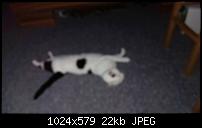 Verrauschte Bilder bei Nachtaufnahmen-1370981329678.jpg