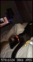 Nacht Fotos Extrem Schlecht-1382003968084.jpg