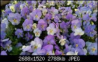 HTC One (m8) for Windows (Unlocked AT&T Version) - Erstes Fazit-imag00058.jpg