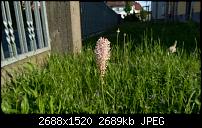 HTC One (m8) for Windows (Unlocked AT&T Version) - Erstes Fazit-imag00062.jpg