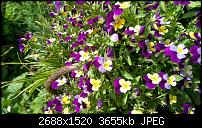 HTC One (m8) for Windows (Unlocked AT&T Version) - Erstes Fazit-imag00069.jpg