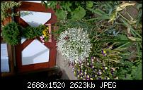 HTC One (m8) for Windows (Unlocked AT&amp;T Version) - Erstes Fazit-imag00070.jpg