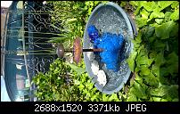 HTC One (m8) for Windows (Unlocked AT&T Version) - Erstes Fazit-imag00073.jpg