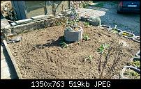 Fotoqualität des HTC One M8-uploadfromtaptalk1396447411400.jpg