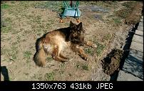 Fotoqualität des HTC One M8-uploadfromtaptalk1396447433469.jpg