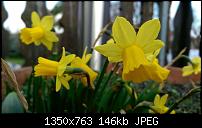 Fotoqualität des HTC One M8-uploadfromtaptalk1396447464773.jpg