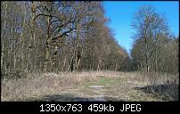 Fotoqualität des HTC One M8-uploadfromtaptalk1396447488075.jpg