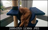 Wer hat schon HTC One M8, eure Eindrücke?-2014-04-04-14.52.50.jpg