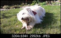 HTC One S, Eure Meinung zur Kamera und deren Qualität in Video und Bild-2012-04-08-15.44.27.jpg