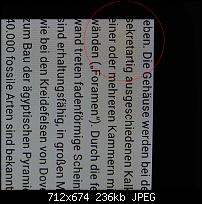 Blaue Flecken auf dem Display?-oy6ltnp6.jpg