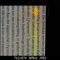 Blaue Flecken auf dem Display?-289gkrrg.jpg