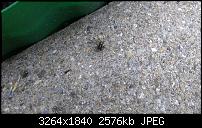 Zeigt eure schönsten Fotos und Videos mit dem One X-imag0036.jpg