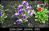 Zeigt eure schönsten Fotos und Videos mit dem One X-imag0041.jpg